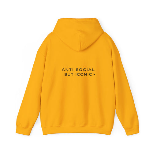 Anti Social But Iconic hoodie back view bold text streetwear USA Hooliganns