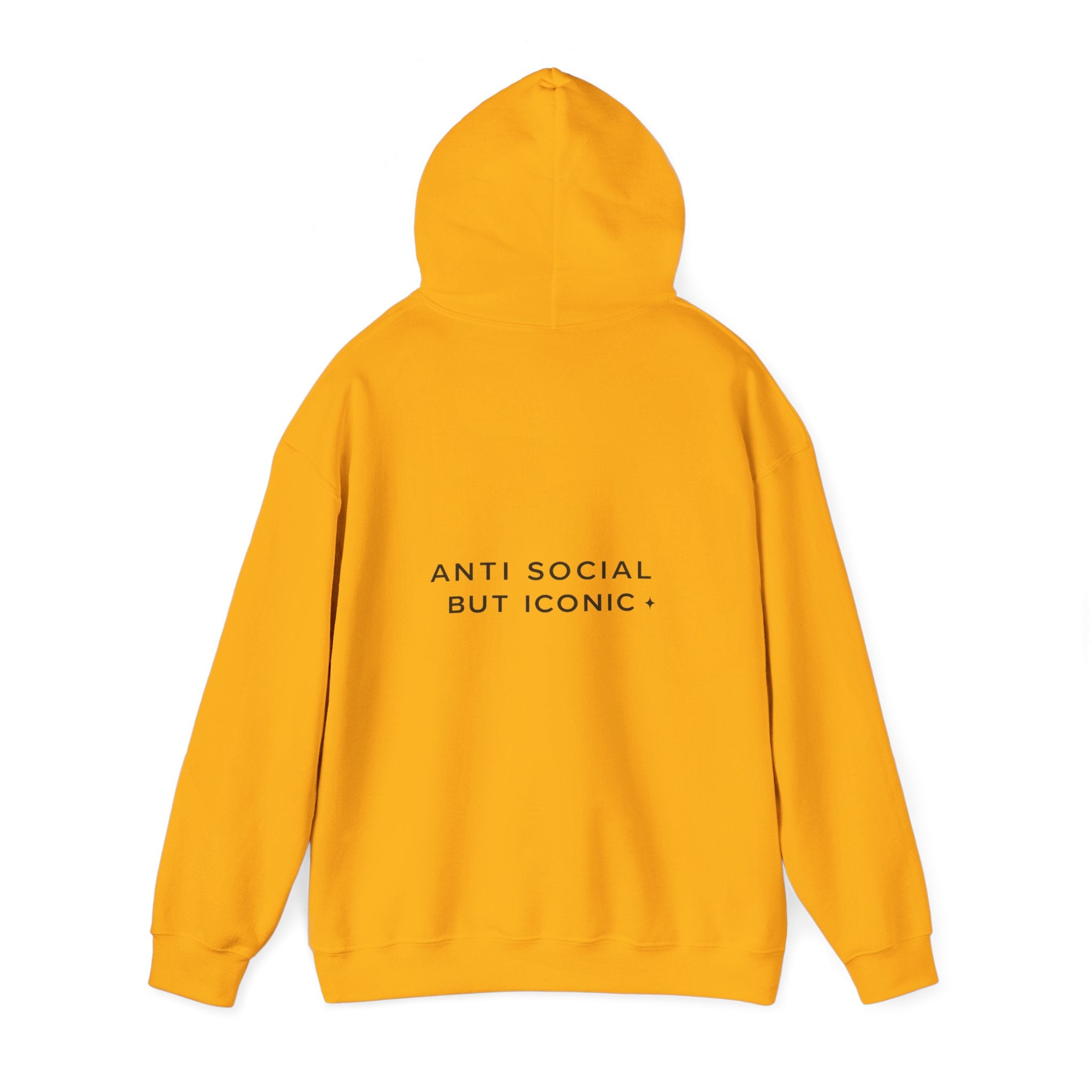 Anti Social But Iconic Gen Z rebellious graphic hoodie premium streetwear USA Hooliganns
